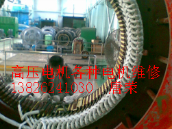 高壓電機(jī)維修保養(yǎng)定子檢修保養(yǎng)的質(zhì)量標(biāo)準(zhǔn)