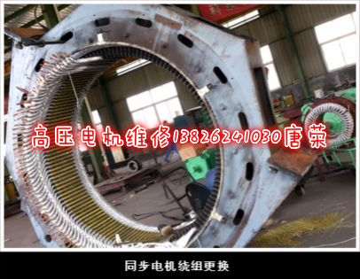 佛山高壓電機(jī)維修-各種高壓電機(jī)維修保養(yǎng)故障檢修