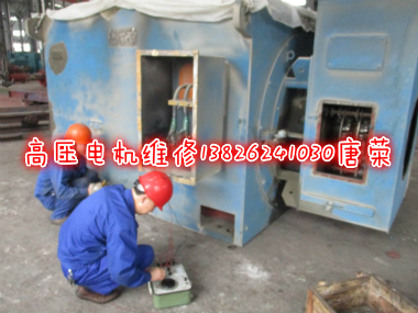高壓電機(jī)維修故障狀態(tài)診斷維修經(jīng)驗(yàn)傳授